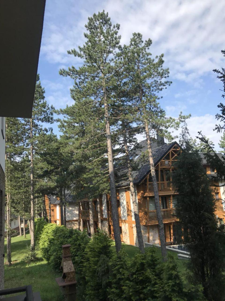 Lux Apartman Daria Zlatibor Bagian luar foto
